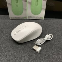 Mouse