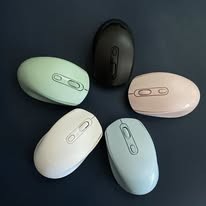 Mouse